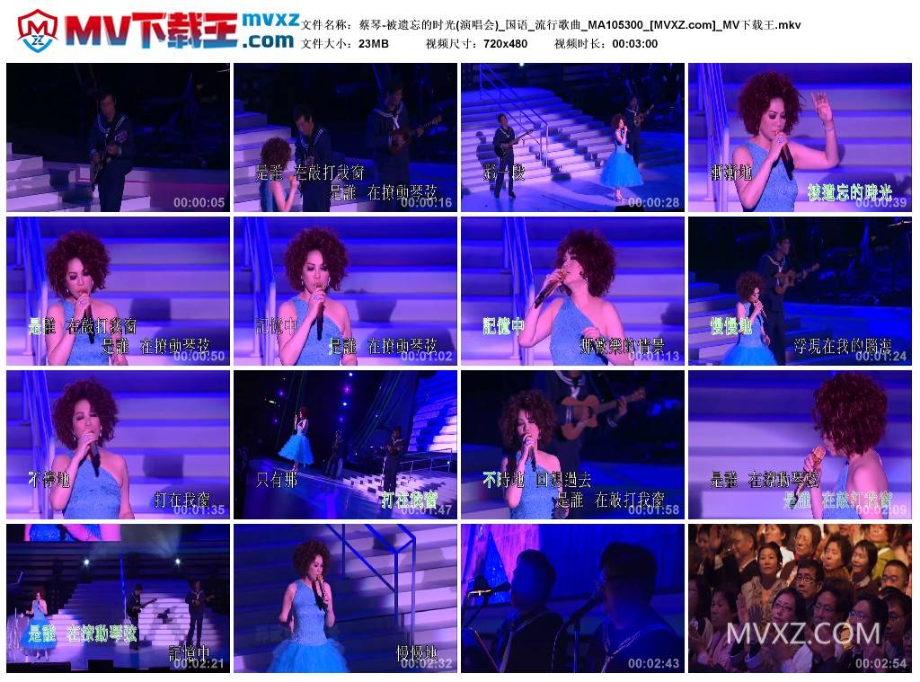 蔡琴-被遗忘的时光(演唱会)_国语_流行歌曲_MA105300